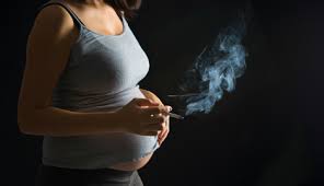 俄罗斯试管婴儿告诉你卵子老化，精子畸形竟然因为它！