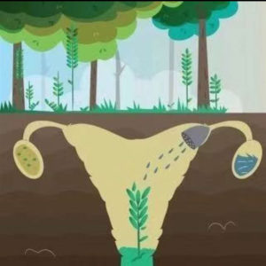 混淆机构_禧孕品牌_XIYUN360